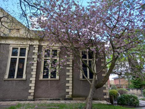 Chapel-Blossom-Apr-22